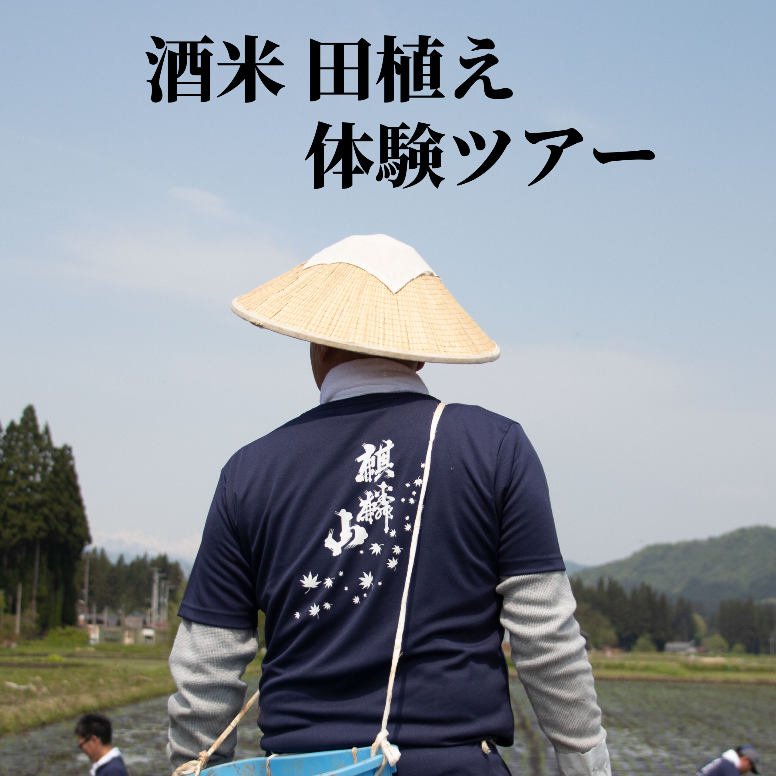 5/9（土）「麒麟山 酒米 田植え体験ツアー」 – 麒麟山酒造 株式会社